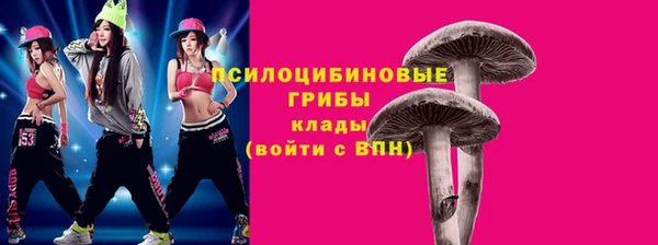 соль ск Майский