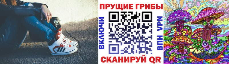 купить закладку  Миллерово  Галлюциногенные грибы Psilocybe 